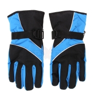 Winter Gloves